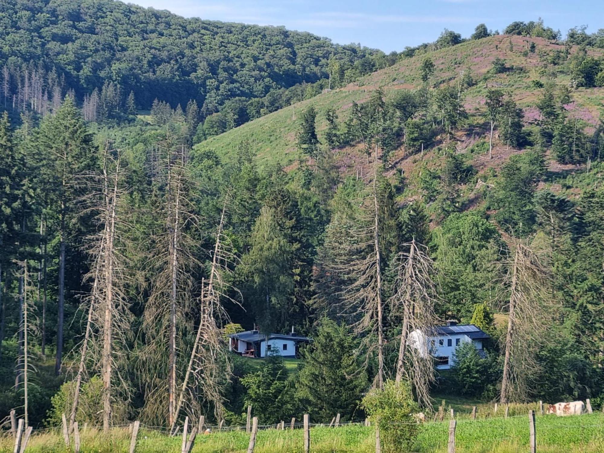 Explorer'S Lodge & Camping Helminghausen 외부 사진