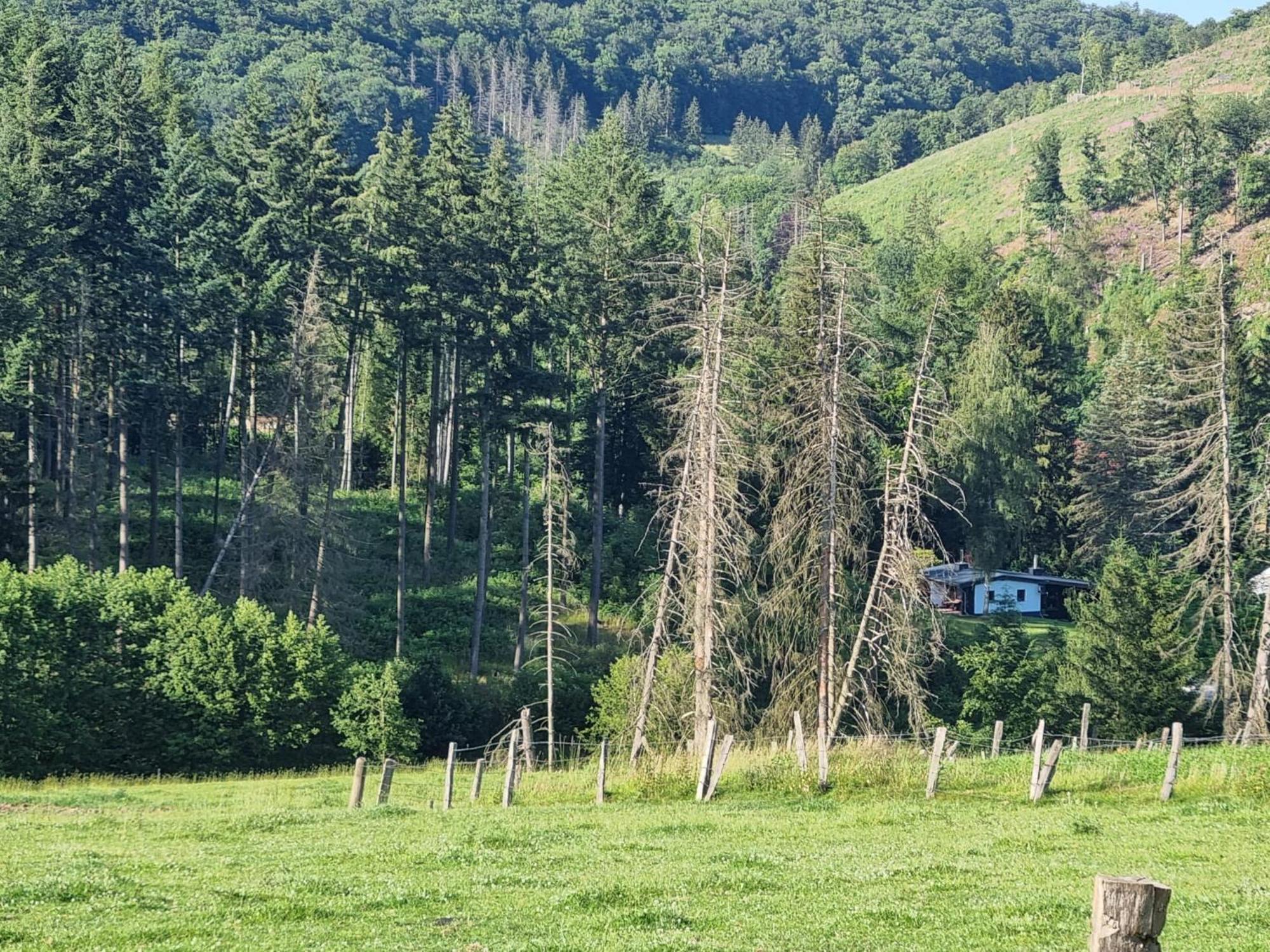 Explorer'S Lodge & Camping Helminghausen 외부 사진