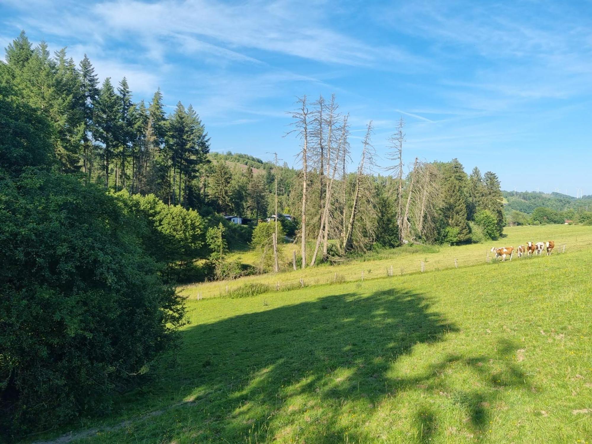 Explorer'S Lodge & Camping Helminghausen 외부 사진