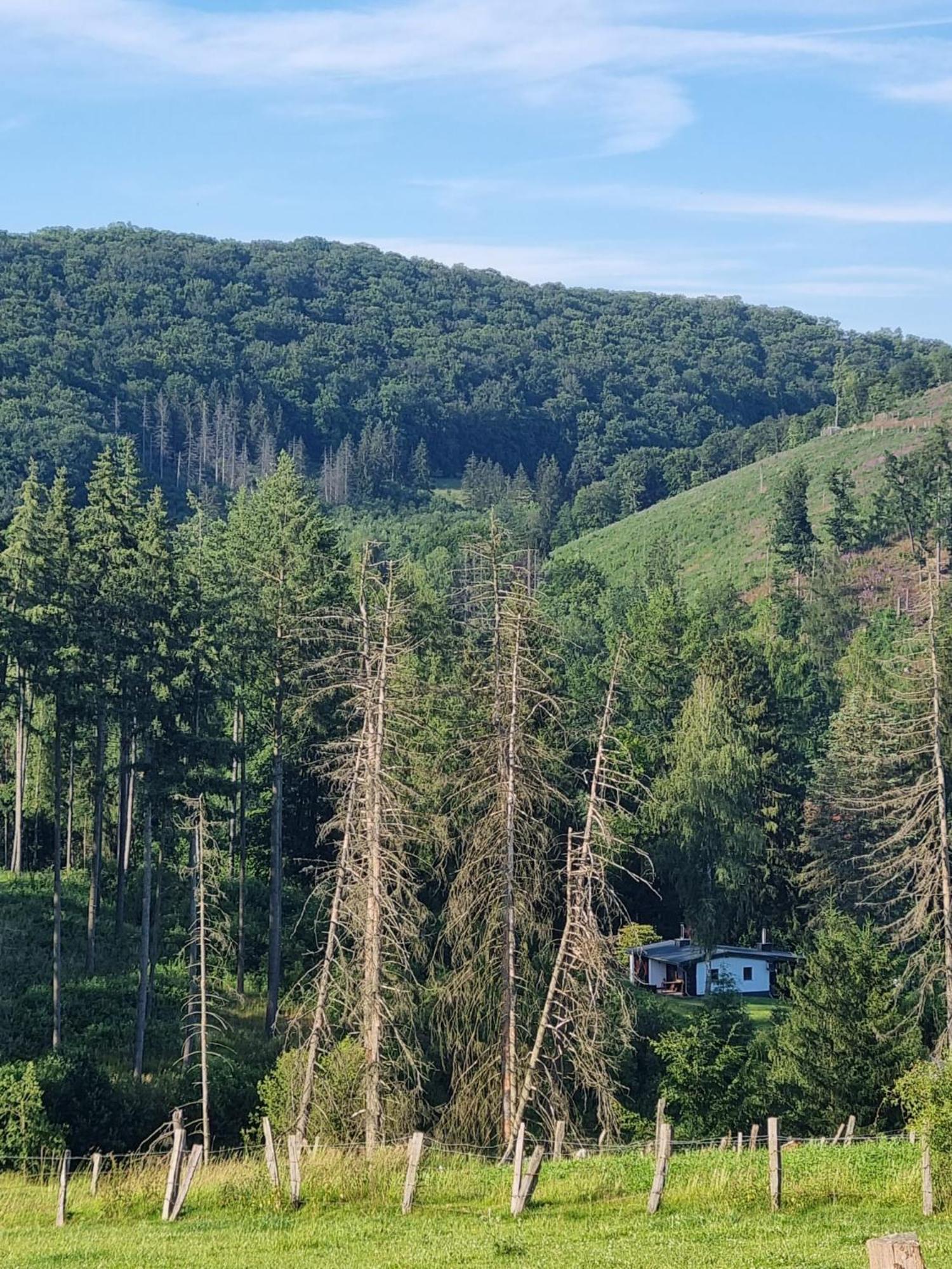 Explorer'S Lodge & Camping Helminghausen 외부 사진